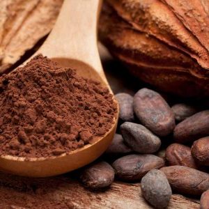 Bột Ca Cao Nguyên Chất Hena Foods 100g