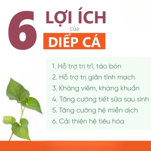 Bột Diếp Cá Nguyên Chất Hena Foods 100g