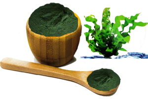 Bột tảo xoắn - Hena foods